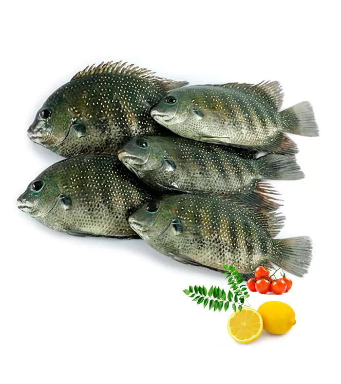 കരിമീൻ (Large) Pearl Spot
