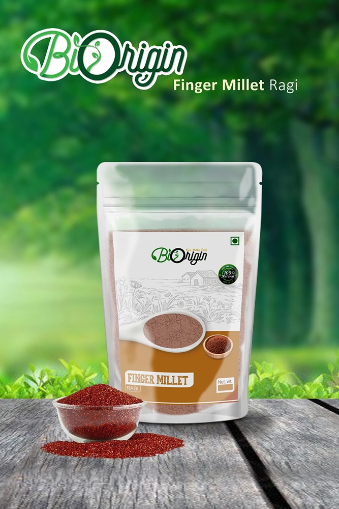 Finger Millet (Ragi)