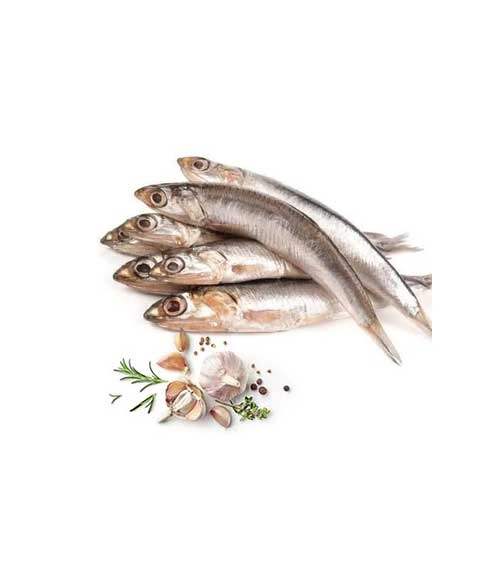 നത്തോലി കൊഴുവ (Large) Anchovy